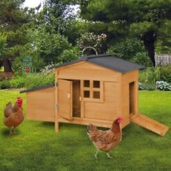 IDMARKET Poulailler Sur Pilotis Avec Pondoir En Bois