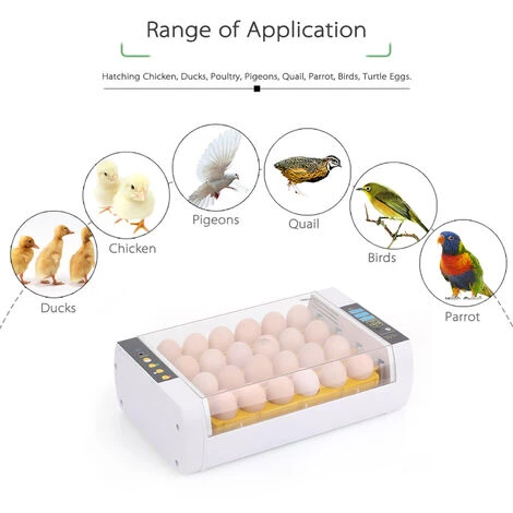ASUPERMALL Incubateur Automatique Pour Oeufs, Ac220V, (Peut Regarder La Video) – Image 4