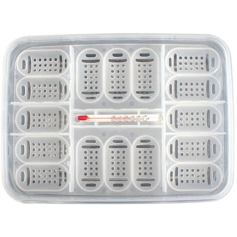 ASUPERMALL Boite D'Elevage De Reptiles, Avec Thermometre