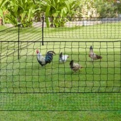 IDMARKET Kit Clôture Filet à Poules 50 M Avec Porte 15 Piquets Double Pointes