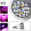 28LEDs Lampe De Culture Plein Spectre Lampe De Plante Intérieur 10W E14 Ampoule De Croissance Pour Végétation Hydroponique Ou En Serre LangRay