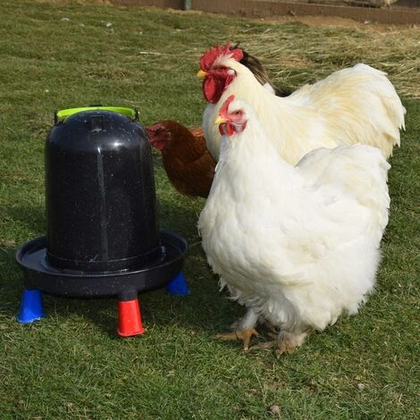 POULAILLER DIRECT Abreuvoir Volailles À Pieds En Plastique Recyclé Eco 10l – Image 5