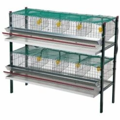 AVIMAC Cage Cailles Pondeuses 8 Compartiments