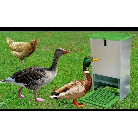 OLBA Mangeoire Anti-nuisible à Trémie, 20 Kg - Vert – Image 5