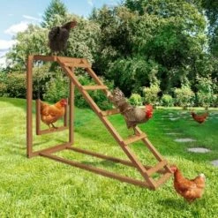 IDMARKET Aire De Jeux En Bois Pour Poules Avec Balançoire Et Perchoir - Naturel