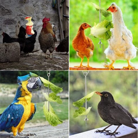 Betterlife Poulet Suspendu Mangeoire Poulet Perroquet Suspendu Mangeoire à Oiseaux En Acier Inoxydable Mangeoire à Poulet Jouet= – Image 4