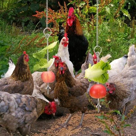 Betterlife Poulet Suspendu Mangeoire Poulet Perroquet Suspendu Mangeoire à Oiseaux En Acier Inoxydable Mangeoire à Poulet Jouet= – Image 5