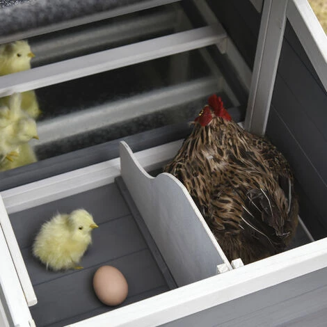 PawHut Poulailler Cottage Cage à Poules Surélevé Dim. 176L X 65l X 100H Cm Multi-équipement Toit Bitumé Noir Bois Sapin Gris Blanc - Gris – Image 4