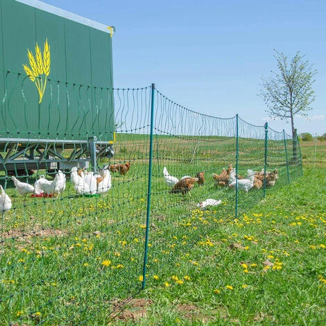 HORIZONT Filet Volaille Non électrifié 50 M, H 1.2 M - Vert – Image 4