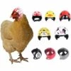Triomphe Casque Pour Animaux De Compagnie Casque De Poulet Chapeau Pour Animaux De Compagnie Jouet Casque Casque De Poule De Poule Costumes Accessoires Pour Poulet 8 Pièces