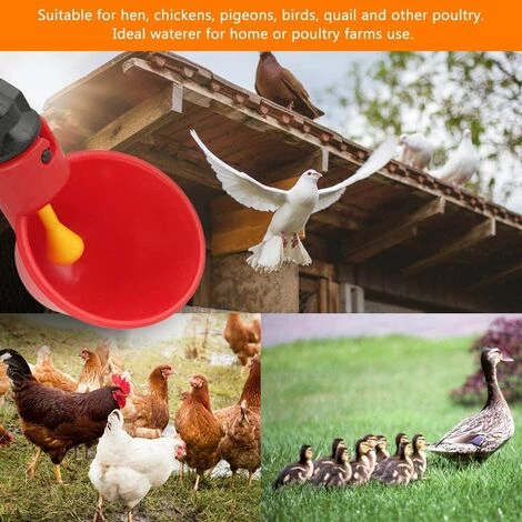 AIDUCHO 10 PCS Abreuvoir Poules Abreuvoir à Poulet En Plastique Automatique Abreuvoir à Volaille Kit Distributeur D'eau Potable Bols Systèmes D'alimentation En Eau Pour Cailles D'oiseaux Pigeon Poulet – Image 3