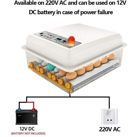 MERKMAK Incubateur Oeufs Couveuse A Oeuf Automatique Pour Volaille, Caille, Oie Canard, Pigeon, Reptile - 16 Oeufs – Image 4