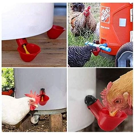 LANGRAY 15 Bols D'eau De Poulet Avec Noix, Abreuvoir De Volaille En Plastique équipement D'élevage Pour Buveur De Caille D'oiseau De Poulet – Image 3