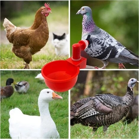 Automatiques Supplies Abreuvoir Poules Tasses à Bol Bol En Plastique, Volailles Distributeurs D'eau Automatique De L'eau Potable Tasses 10.5*6.5*4cm Fontainebleau 2Pcs Rouge – Image 5