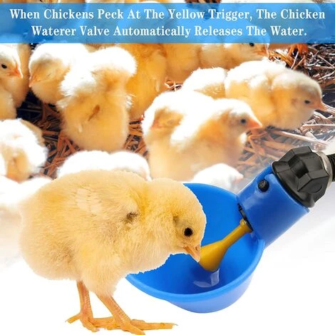 VERSAILLESFR Volaille Tasse à Boire Automatique En Plastique Distributeur D'Eau De Poulet,Abreuvoir Pour Poules Poulailler Volaille Oiseau Coupes Buveur -Versailles – Image 2