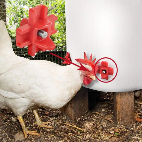 Buveurs D'Eau De Poulet En Plastique Et Acier Inoxydable 304 Abreuvoir Automatique Pour Tétine De Poulet En Rouge 32,5 X 34mm Distributeur Abreuvoir Équipement Pour Poulet Oie OiseauTriomphe 10 Pièces â Image 3
