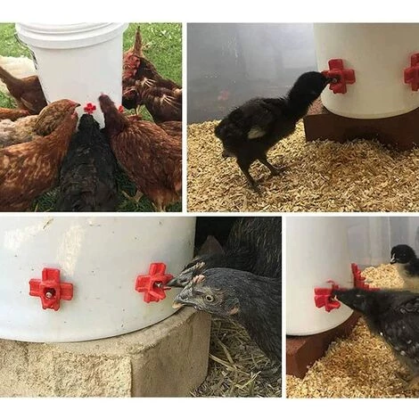 Buveurs D'Eau De Poulet En Plastique Et Acier Inoxydable 304 Abreuvoir Automatique Pour Tétine De Poulet En Rouge 32,5 X 34mm Distributeur Abreuvoir Équipement Pour Poulet Oie OiseauTriomphe 10 Pièces â Image 4