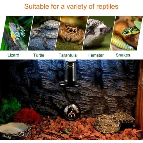 Betterlife E27 100W Émetteur Radiateur Animaux Ampoule Infrarouge Chauffage En Céramique,Lampe De Reptile Pour Amphibiens, Serpent, Oiseaux,Tortue, Chat, Chien(1 Pcs) – Image 5