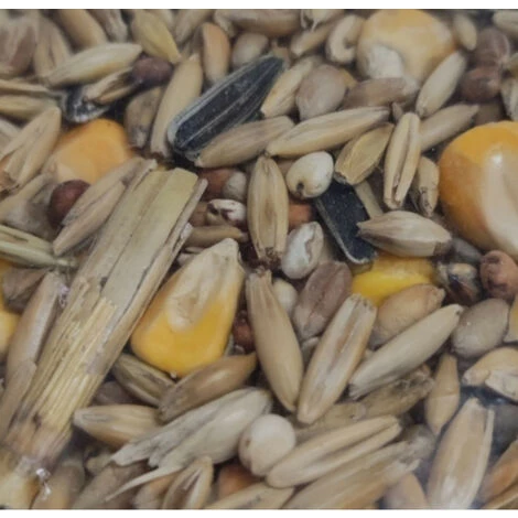 Aliment Composé Mélange Pour Poules Pondeuses 5 Kg Basse Cour - Animallparadise - Multicolor – Image 2