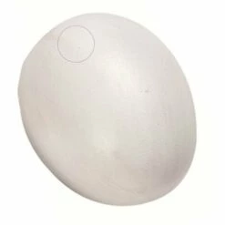 Un Faux œuf De Poule En Plastique Pour Volaille - Flamingo Pet Products - Blanc