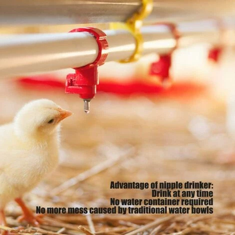 REGALI 20pcs Tetine Abreuvoir Poules Tetine Automatique Pour Poule Volaille Poulet Canard Distributeur D'eau Le Style Vis à Vis élevage Alimentation Du Bétail Abreuver équipement Rouge â Image 2