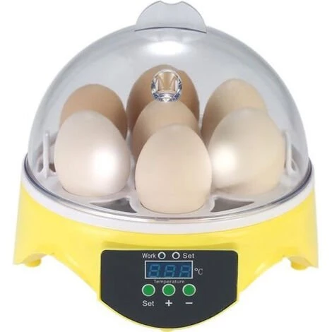 Mini Incubateur D'Oeufs En 15.5x 15.5 X15cm FUIENKO