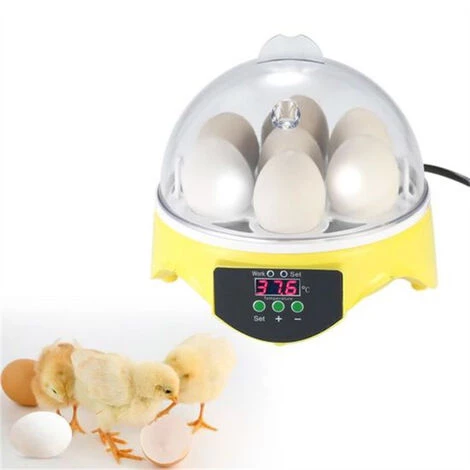 Mini Incubateur D'Oeufs En 15.5x 15.5 X15cm FUIENKO – Image 2