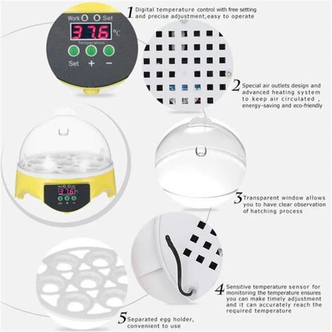 Mini Incubateur D'Oeufs En 15.5x 15.5 X15cm FUIENKO – Image 3