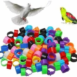 100 Pcs Bague Pour Pied D’Oiseaux Anneaux Pour Pied D'oiseau Jambe D'Anneau D'oiseau Anneaux De Pied Pour Perroquet, Pour Identification Oiseaux Pigeon Poulet Canard Volaille(Multicolor),Starlight