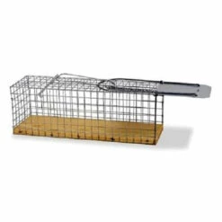 Gaun Cage Petites Souris
