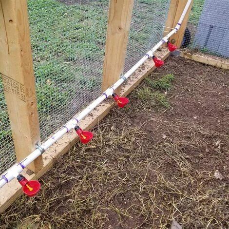 HEGUYEY 16Pcs Abreuvoir Poulet Abreuvoir Automatique Poule, Abreuvoir Mamelons D'eau De Volaille, Montage Latéral Horizontal Lot De Distributeur D'eau Potable Pour Oiseau Canard Poulet – Image 3