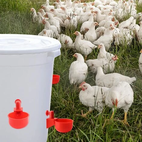 HEGUYEY 12pcs 3/8 Pouces Abreuvoirs Automatiques, Abreuvoir Poulet Abreuvoir Automatique Poule Tasse D'Abreuvoir De Poulet Mangeoire D'eau De Poulet Pour Poulet Canards Oiseaux Dindes – Image 5
