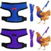 STARLIGHT 2 Pièces Harnais De Poulet Set, SL.GT Laisse Pour Poule Réglable, Harnais Respirant Chiot, Ajustable Harnet Petit Animal, Harnai Poulet Anti Traction