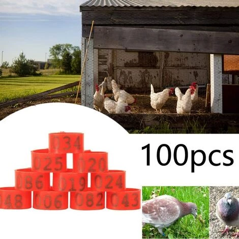 REGALOS 100 Pièces Poulet Anneau Taille Réglable Volaille Jambes Numéro étiquette Boucle Boucle Canard Volaille Poulet Fournitures(rouge) – Image 4