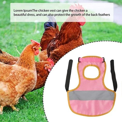REGALOS Vêtements De Poulet, Tablier De Protection Robuste Pour Poulet Et Canard (rose)