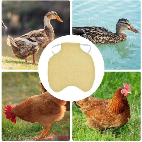 CARILLONSàVENT Tablier De Poulet À Sangle Unique/Gilet De Selle Protection De L'aile De Canard De Poule Vestes De Poulet Standard Tabliers De Poule Accessoires De Soins De Volaille 5pcs-Kaki Carivent – Image 3