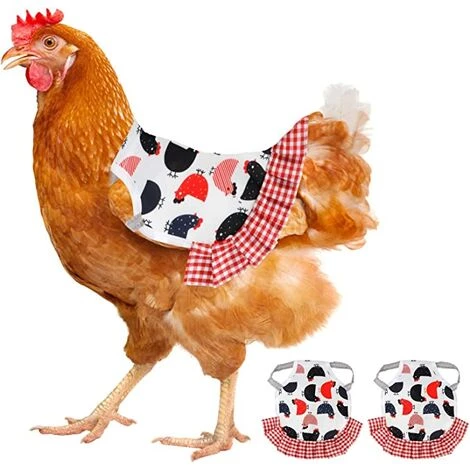 REGALI Selle De Poulet, 2 Pièces De Selle De Poulet Tablier De Poule Ailes Protecteur De Plumes Protection élastique Fournitures De Volaille Pour Animaux De Compagnie (8,7 X 6,7 Pouces)