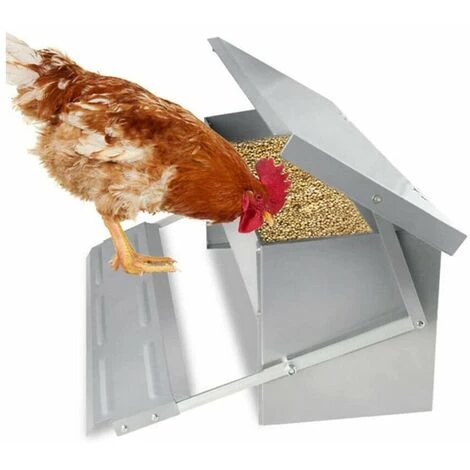 Randaco Mangeoire Automatique Avec Couvercle Distributeur Automatique Auge Auge D’alimentation Résistante Aux Intempéries 5kg - Argent