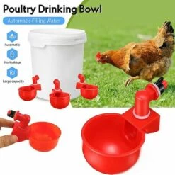 PERLE RARE Abreuvoir Automatique De Poulet, Bol, Bol D'abreuvoir De Volaille De Ferme Bol D'abreuvoir Automatique De Volaille Tasse D'abreuvoir De Poulet