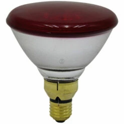Ampoule Chauffante - Infrarouge - 175 W - Universel