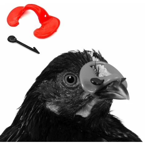 CYCLINGCOLORS 20x Lunette Anti-picage Volaille Avec Aiguille De Fixation Poules Petits Oiseaux Jeunes Faisans – Image 2