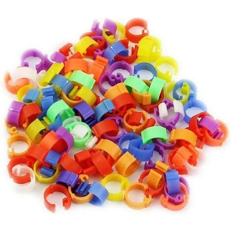 Lot De 100 Anneaux Pour Oiseaux, Poule, Pigeon, Volaille, Colombe, Canard, Perroquet -Adélala – Image 2