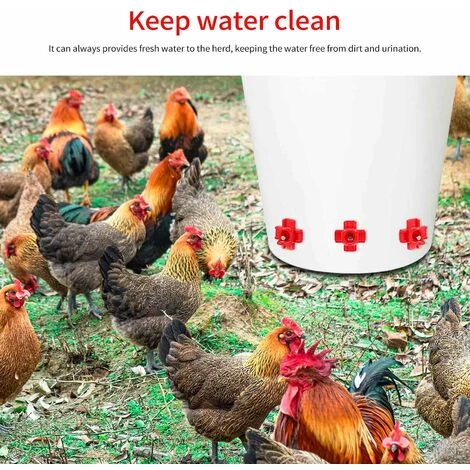 OUSUDELA Tétine à Eau De Volaille, Abreuvoir Automatique Pour Tétine De Poulet Avec Montage Latéral Horizontal, Abreuvoir Pour Poulets Deau, Lot De 12 – Image 2