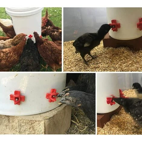 ECHOO Tétine à Eau De Volaille, Abreuvoir Automatique Pour Tétine De Poulet Avec Montage Latéral Horizontal, Abreuvoir Pour Poulets Deau, Lot De 12 – Image 2